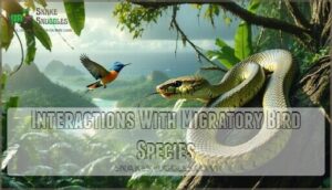 interactions with migratory bird species