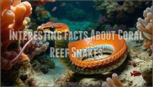 interesting facts about coral reef snakes