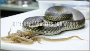 internal parasites and worms