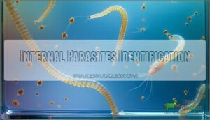internal parasites identification
