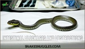 intestinal blockages and obstructions