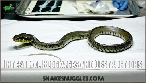 Common Snake Care Problems: 7 Deadly Issues Every Owner Must Know