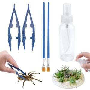 Jumping Spider Enclosure Starter Kit B0DSL1BKW3