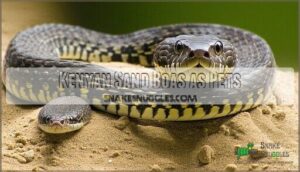 kenyan sand boas as pets