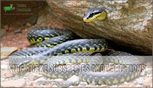 king snake subspecies and variations