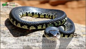 king snakes