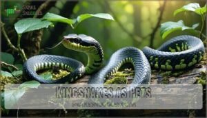 kingsnakes as pets