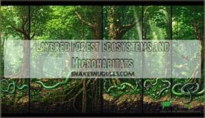 layered forest ecosystems and microhabitats