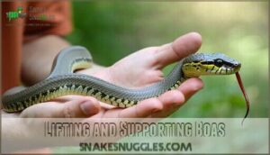 lifting and supporting boas