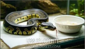loss of appetite loss of appetite