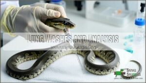 lung washes and analysis