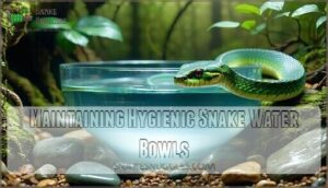 maintaining hygienic snake water bowls