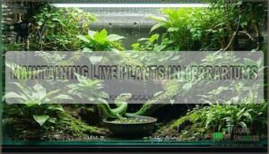 maintaining live plants in terrariums