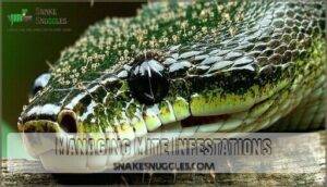 managing mite infestations