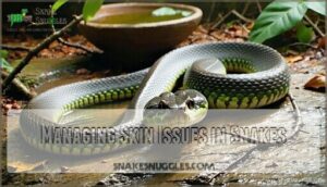 managing skin issues in snakes