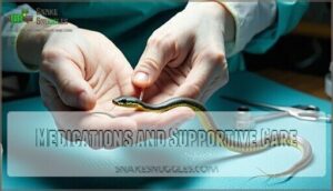 medications and supportive care