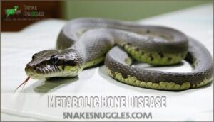 metabolic bone disease