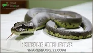 metabolic bone disease metabolic bone disease