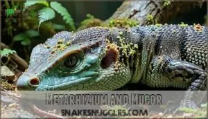 metarhizium and mucor metarhizium and mucor