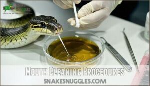 mouth cleaning procedures