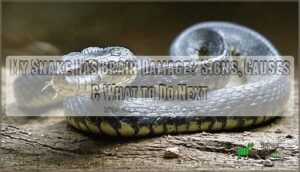 my snake has brain damage