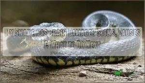 my snake has brain damage my snake has brain damage