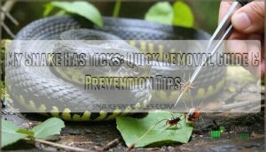 my snake has ticks