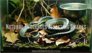 natural processes affecting snakes