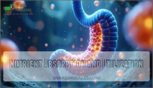 nutrient absorption and utilization
