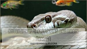 nutritional deficiencies and brain damage