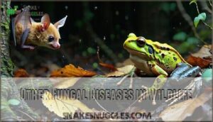 other fungal diseases in wildlife