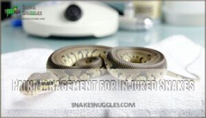 pain management for injured snakes