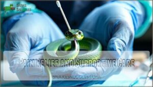 pain relief and supportive care
