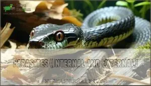 parasites (internal and external) parasites (internal and external)