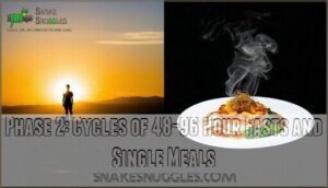 phase 2: cycles of 48-96 hour fasts and single meals