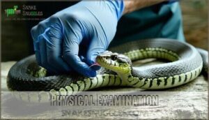 physical examination