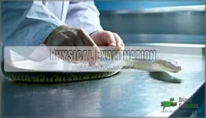 physical examination physical examination