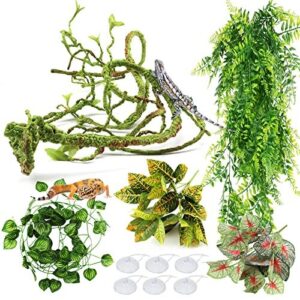 PietyPet Reptile Plants, Terrarium Hanging B09KKRCTYC