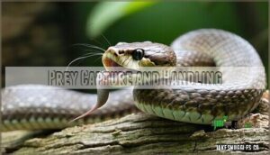 prey capture and handling