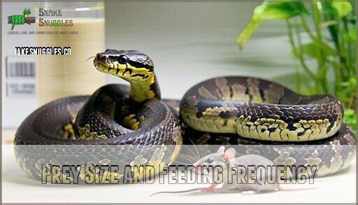 Are Ball Pythons Good Pets? Pros, Cons & Essential Care Tips