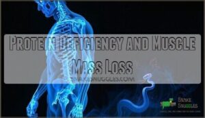 protein deficiency and muscle mass loss
