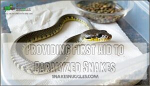 providing first aid to paralyzed snakes
