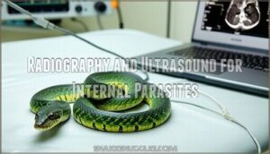 radiography and ultrasound for internal parasites