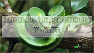 recognizing pain and discomfort in snakes