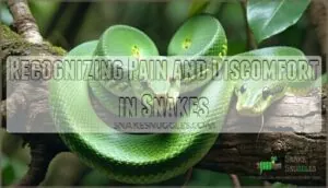 recognizing pain and discomfort in snakes recognizing pain and discomfort in snakes