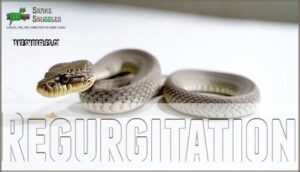 regurgitation