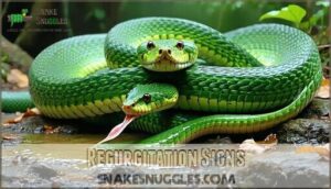 regurgitation signs