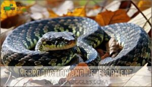 reproduction and development