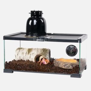 REPTI ZOO Nano Glass Reptile B0D7MD17FJ