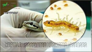 reptile associated zoonotic diseases